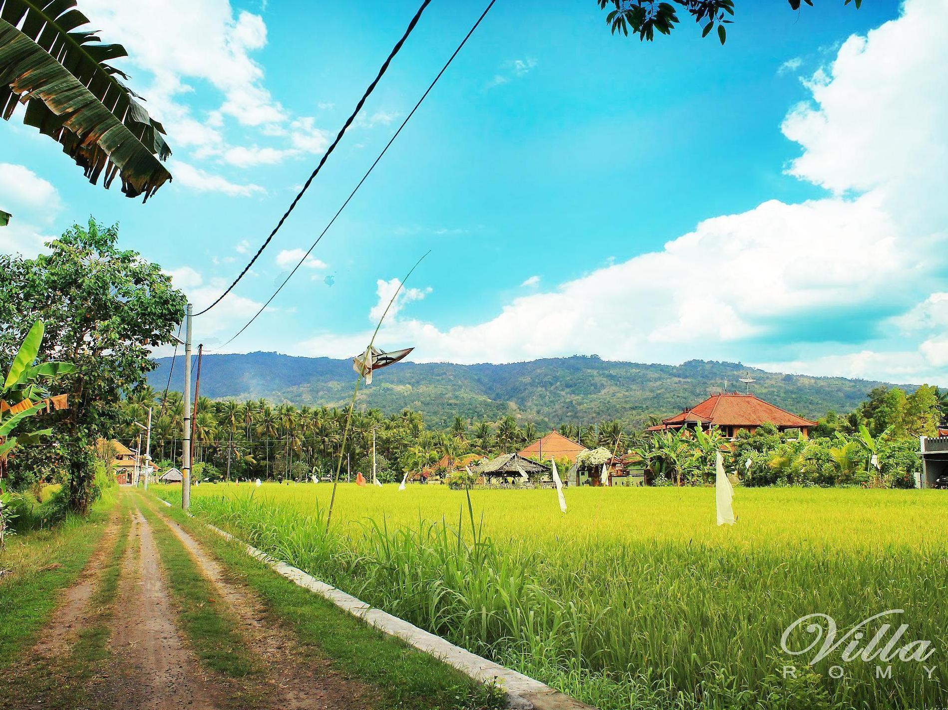 Villa Romy And Bungalows Lovina  Luaran gambar